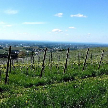 Ferienhof Vordere Alm Oberkirch Kültér fotó