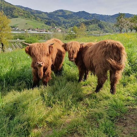 Ferienhof Vordere Alm Oberkirch Kültér fotó