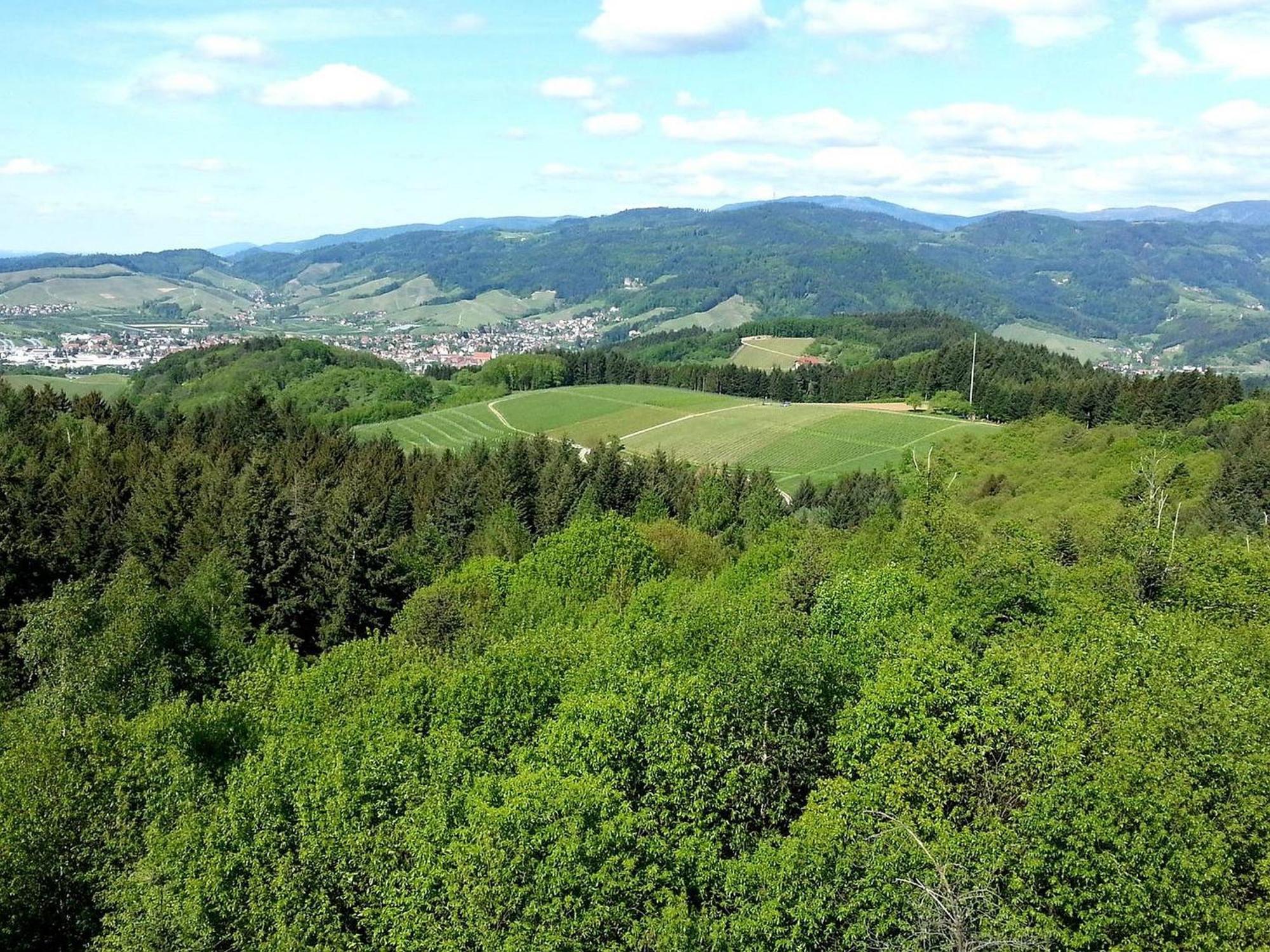 Ferienhof Vordere Alm Oberkirch Kültér fotó