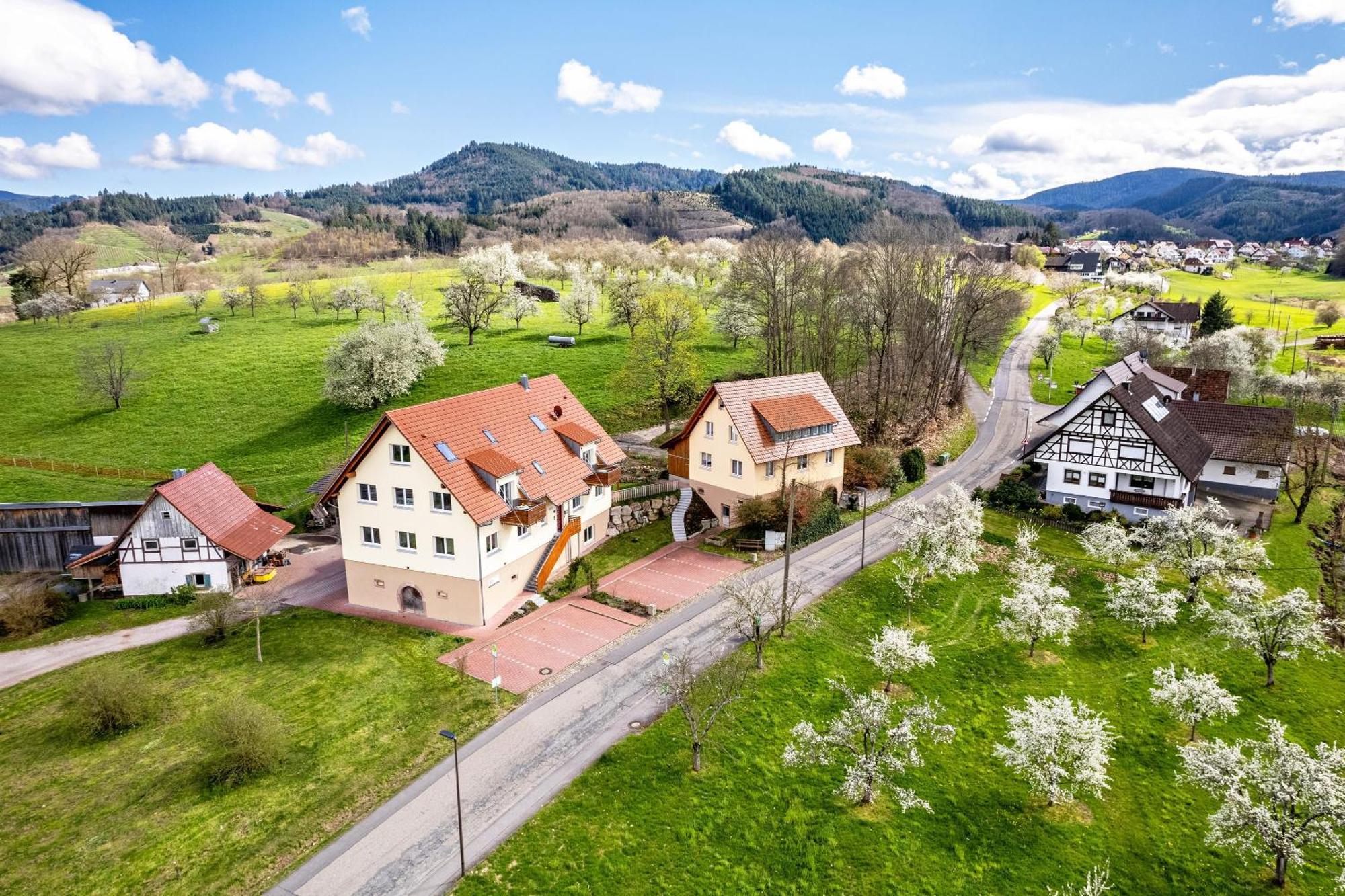 Ferienhof Vordere Alm Oberkirch Kültér fotó