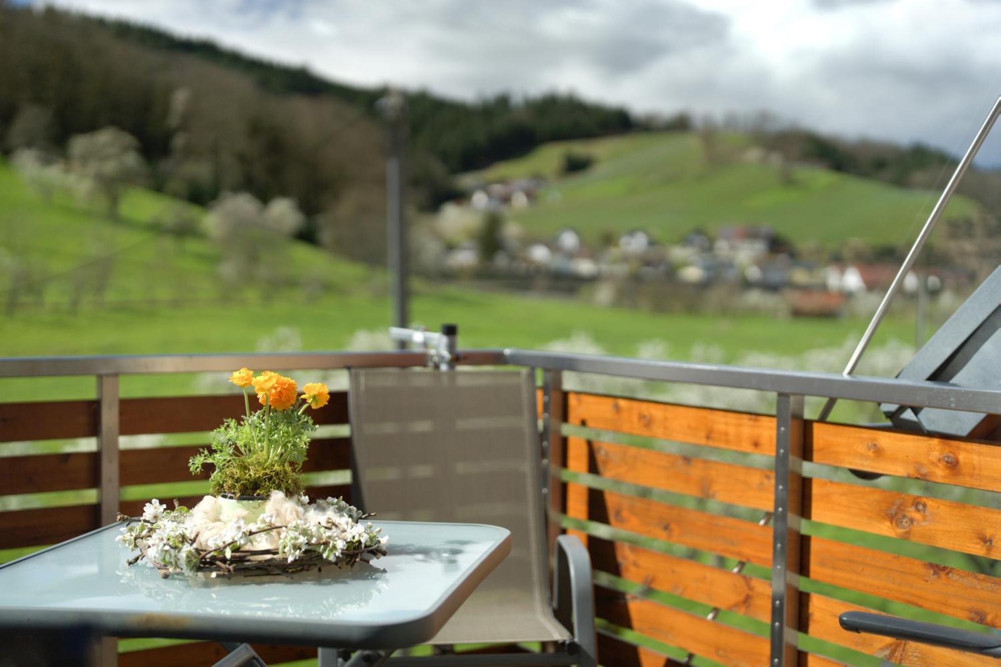 Ferienhof Vordere Alm Oberkirch Kültér fotó