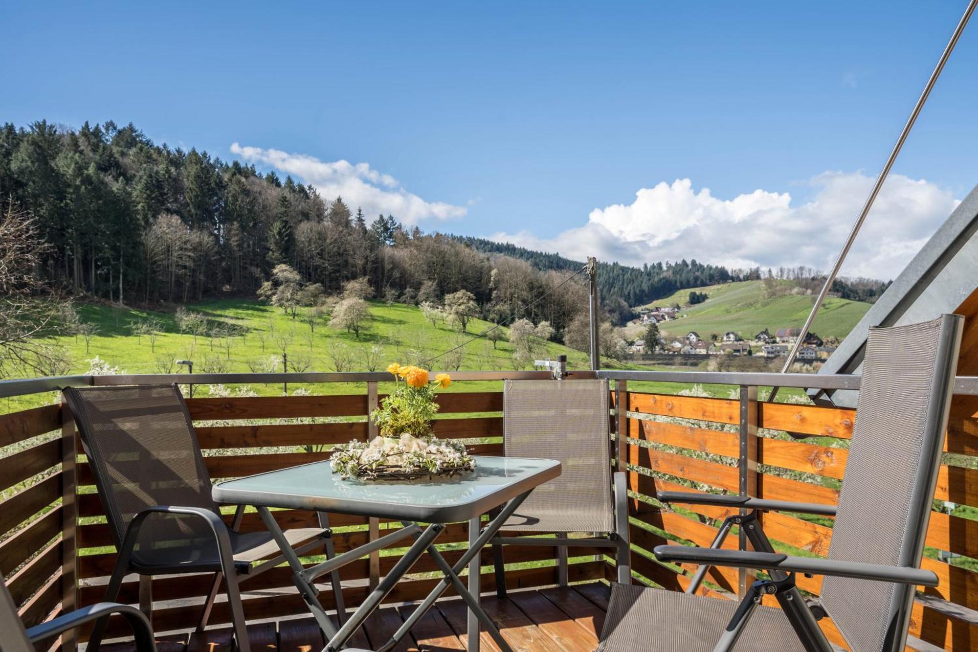 Ferienhof Vordere Alm Oberkirch Kültér fotó